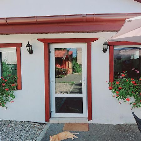 Confort Inn Otopeni Exteriör bild