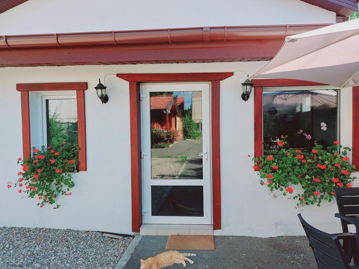 Confort Inn Otopeni Exteriör bild